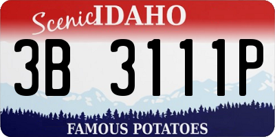 ID license plate 3B3111P