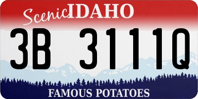 ID license plate 3B3111Q