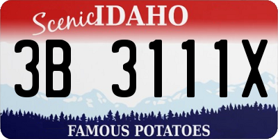 ID license plate 3B3111X