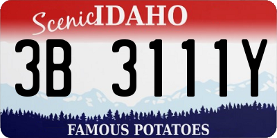 ID license plate 3B3111Y