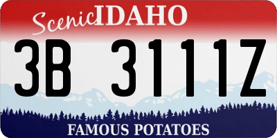 ID license plate 3B3111Z