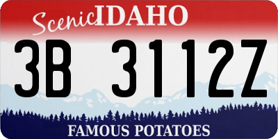 ID license plate 3B3112Z