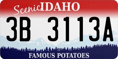 ID license plate 3B3113A