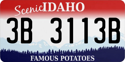 ID license plate 3B3113B