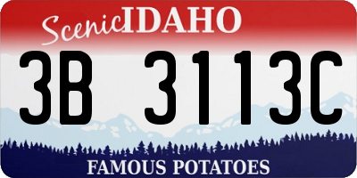 ID license plate 3B3113C