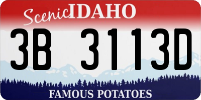 ID license plate 3B3113D