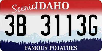 ID license plate 3B3113G