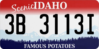 ID license plate 3B3113I