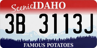 ID license plate 3B3113J