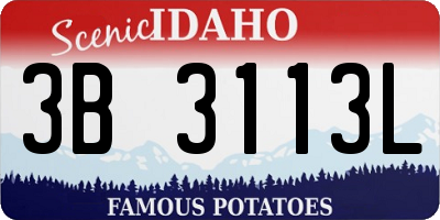 ID license plate 3B3113L
