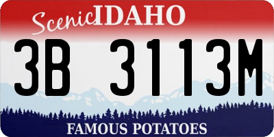 ID license plate 3B3113M