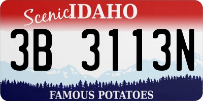 ID license plate 3B3113N