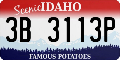 ID license plate 3B3113P