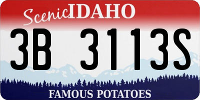 ID license plate 3B3113S