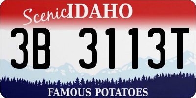 ID license plate 3B3113T