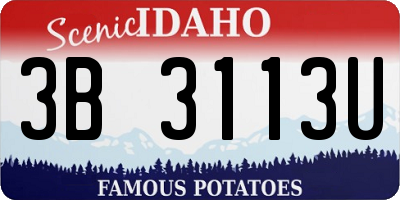 ID license plate 3B3113U