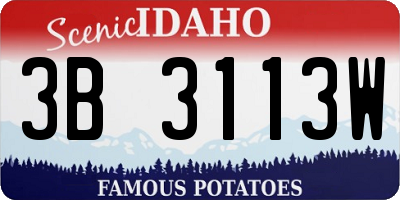 ID license plate 3B3113W