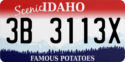 ID license plate 3B3113X