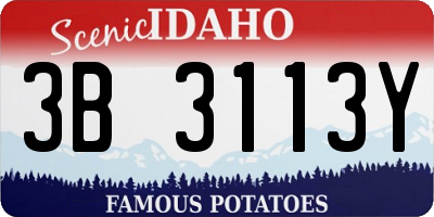 ID license plate 3B3113Y