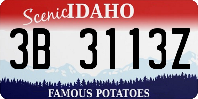 ID license plate 3B3113Z