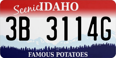ID license plate 3B3114G