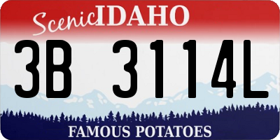 ID license plate 3B3114L