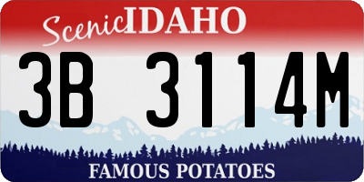 ID license plate 3B3114M