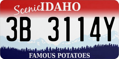 ID license plate 3B3114Y