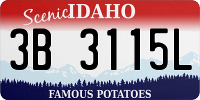 ID license plate 3B3115L