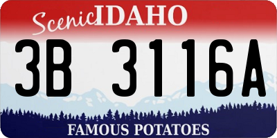 ID license plate 3B3116A