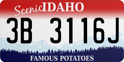 ID license plate 3B3116J