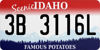 ID license plate 3B3116L