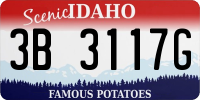 ID license plate 3B3117G