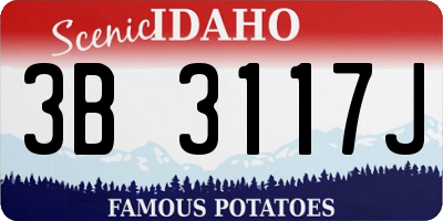 ID license plate 3B3117J