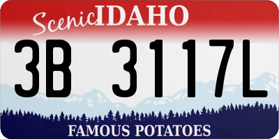ID license plate 3B3117L