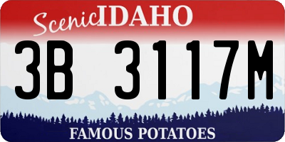 ID license plate 3B3117M