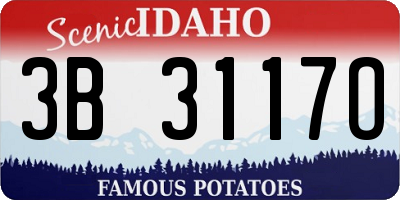 ID license plate 3B3117O