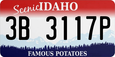 ID license plate 3B3117P