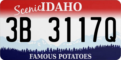 ID license plate 3B3117Q