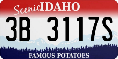 ID license plate 3B3117S