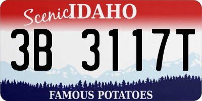 ID license plate 3B3117T