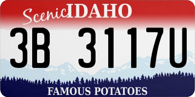 ID license plate 3B3117U