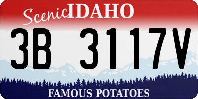 ID license plate 3B3117V
