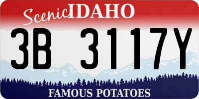 ID license plate 3B3117Y