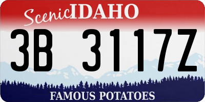ID license plate 3B3117Z