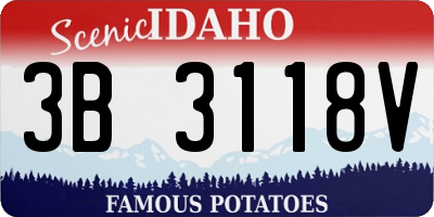 ID license plate 3B3118V