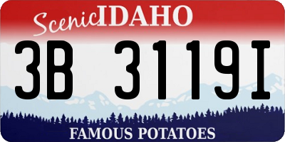 ID license plate 3B3119I