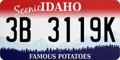 ID license plate 3B3119K