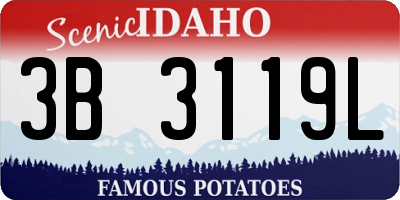 ID license plate 3B3119L