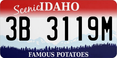 ID license plate 3B3119M